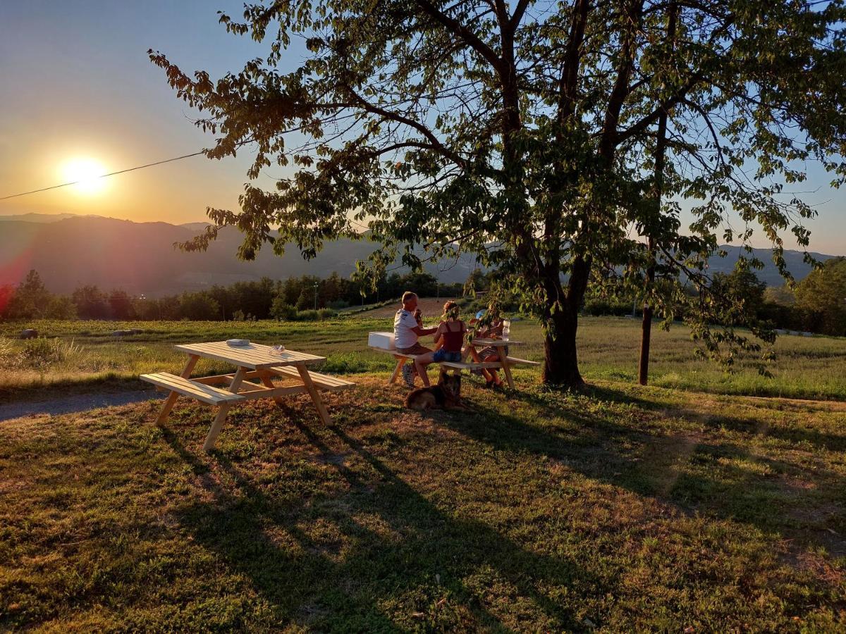 Agriturismo La Margherita San Giorgio Scarampi エクステリア 写真