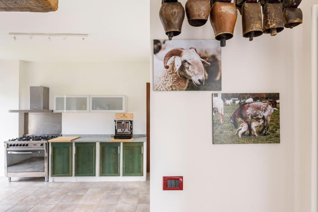 Agriturismo La Margherita San Giorgio Scarampi エクステリア 写真